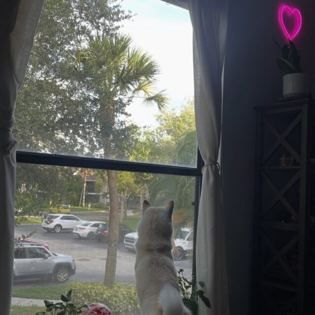 Swipe >>>> to see what I’m looking at