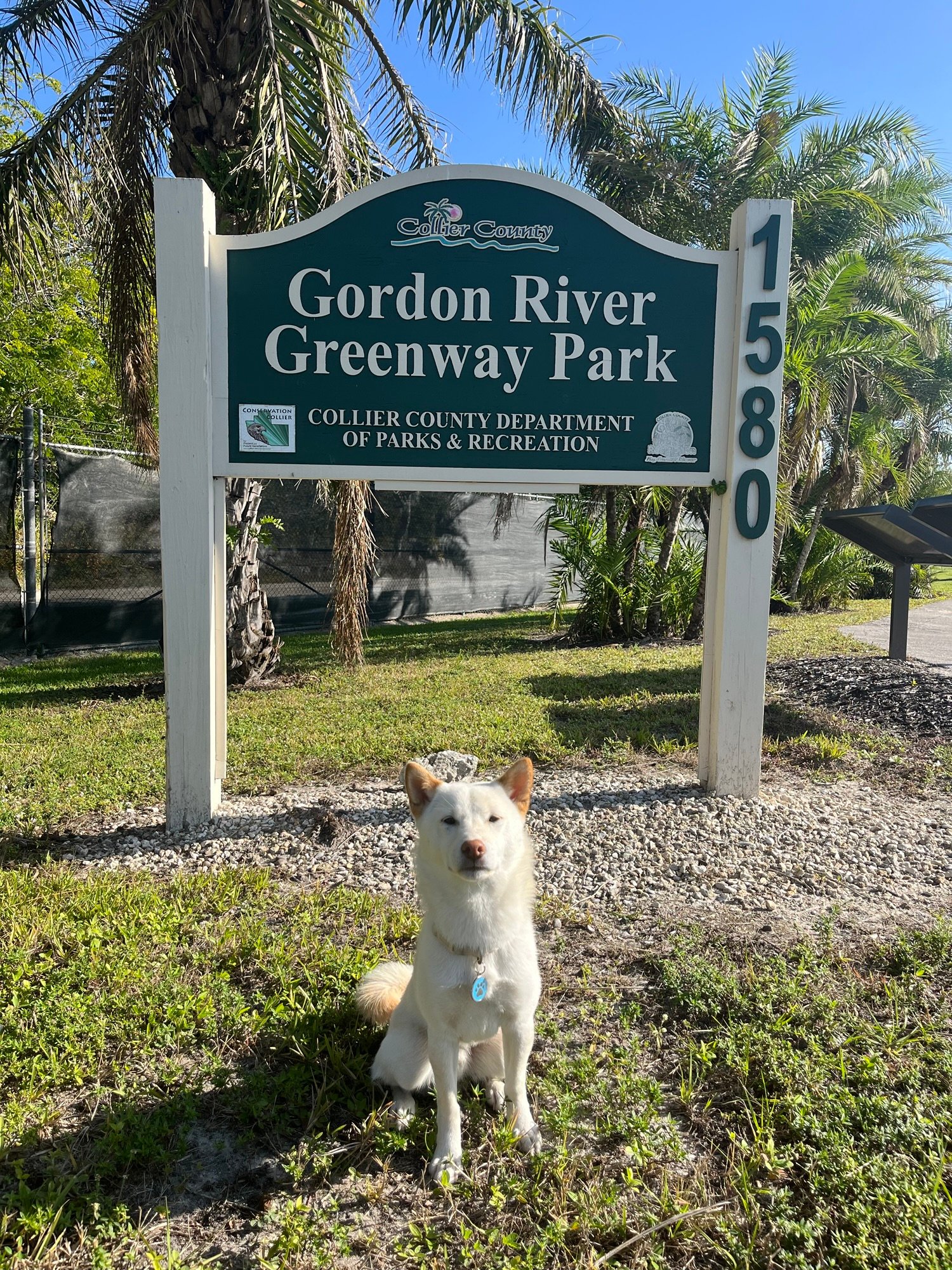 Dog Park Etiquette: The Unwritten Rules Every Pup Parent Should Know