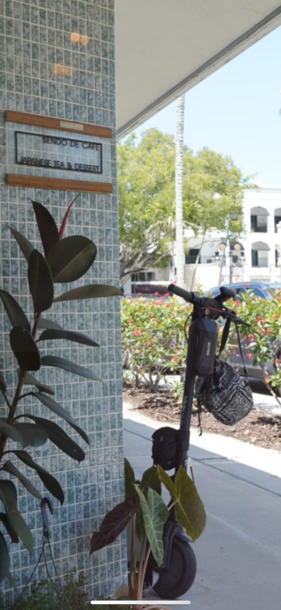 Wagging Through the Weekend: 7 Dog-Friendly Getaways Worth the Drive